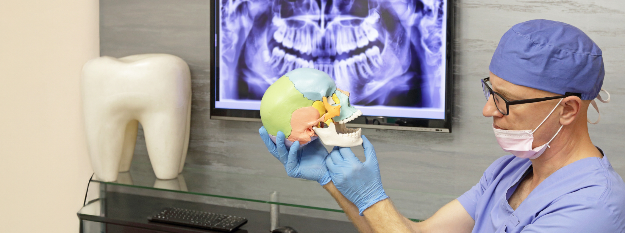 Dentist holding a model of the skull and pointing to the jaw joint